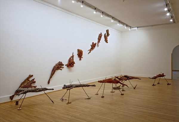 Nunga und Goonya – Nikolaus Lang