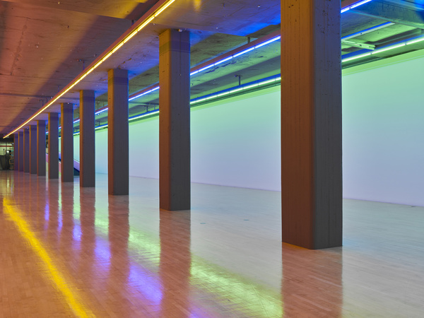 Dan Flavin